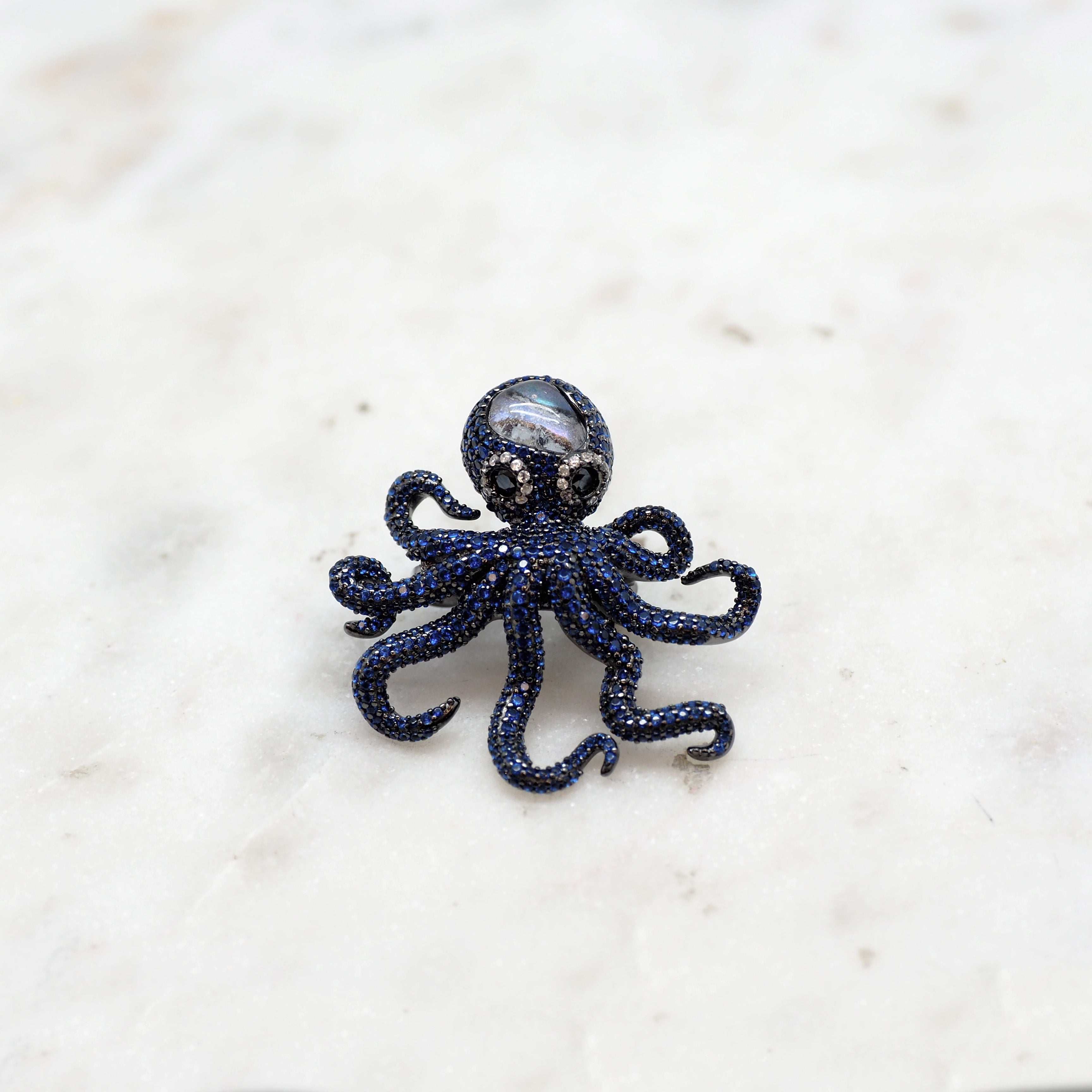 Octopus
