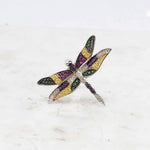 Libellula