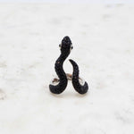 Serpent Noir