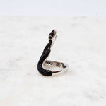 Serpent Noir